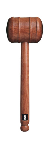 Gunn moore cricket - gunn, bat